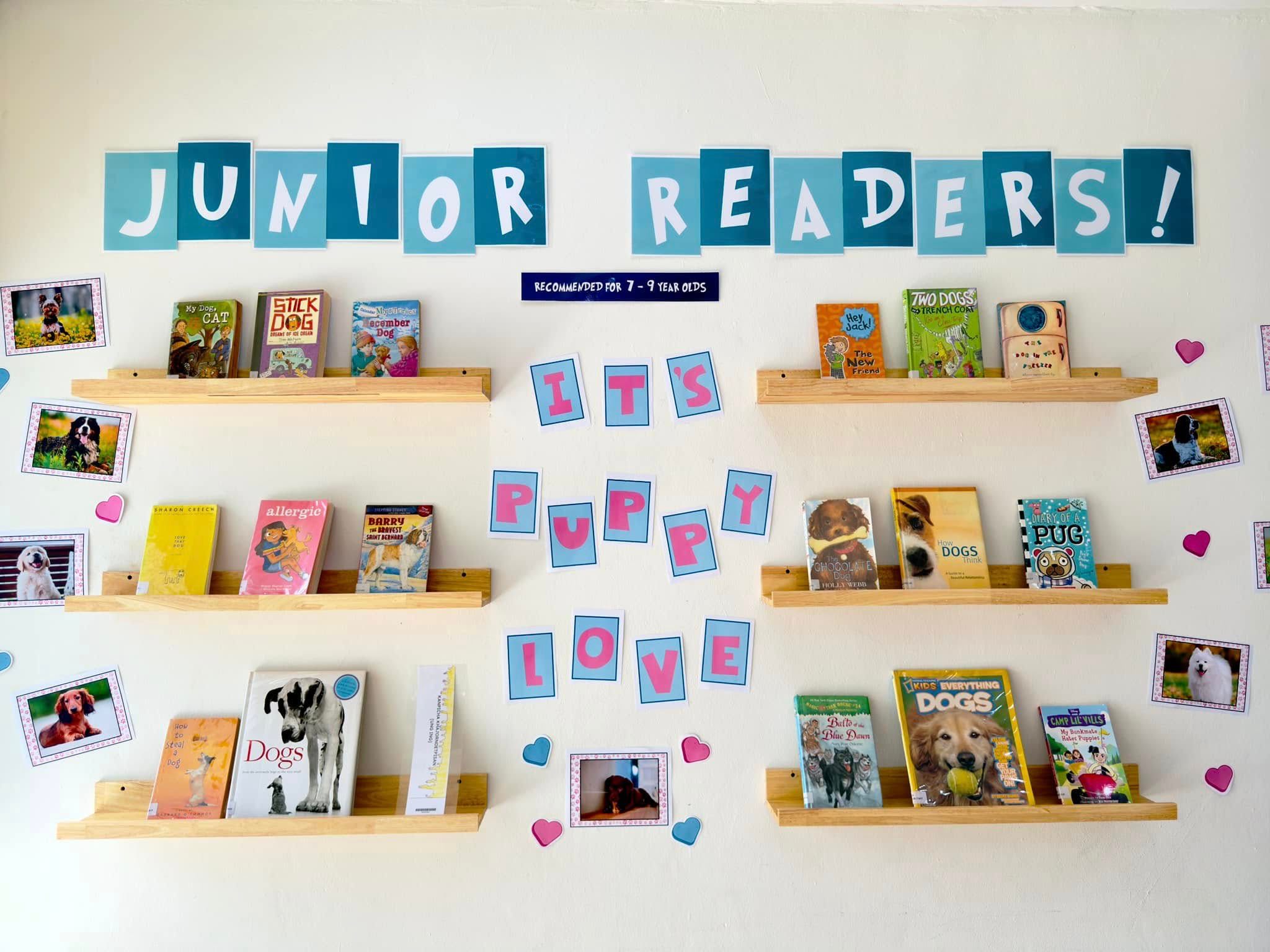 A colorfully decorated wall displaying recommended books for kids 7-9 years old on shelves
