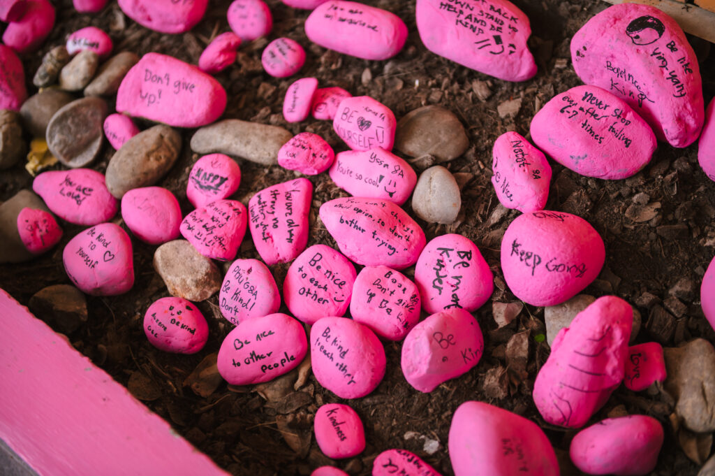 Pink rocks with encouraging words written on them in a garden