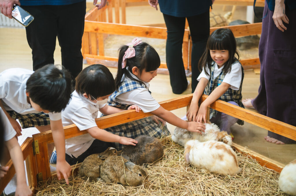 students in uniforms pet rabbits in a hay-filled wooden enclosure, practicing the You-Me-World curriculum module.