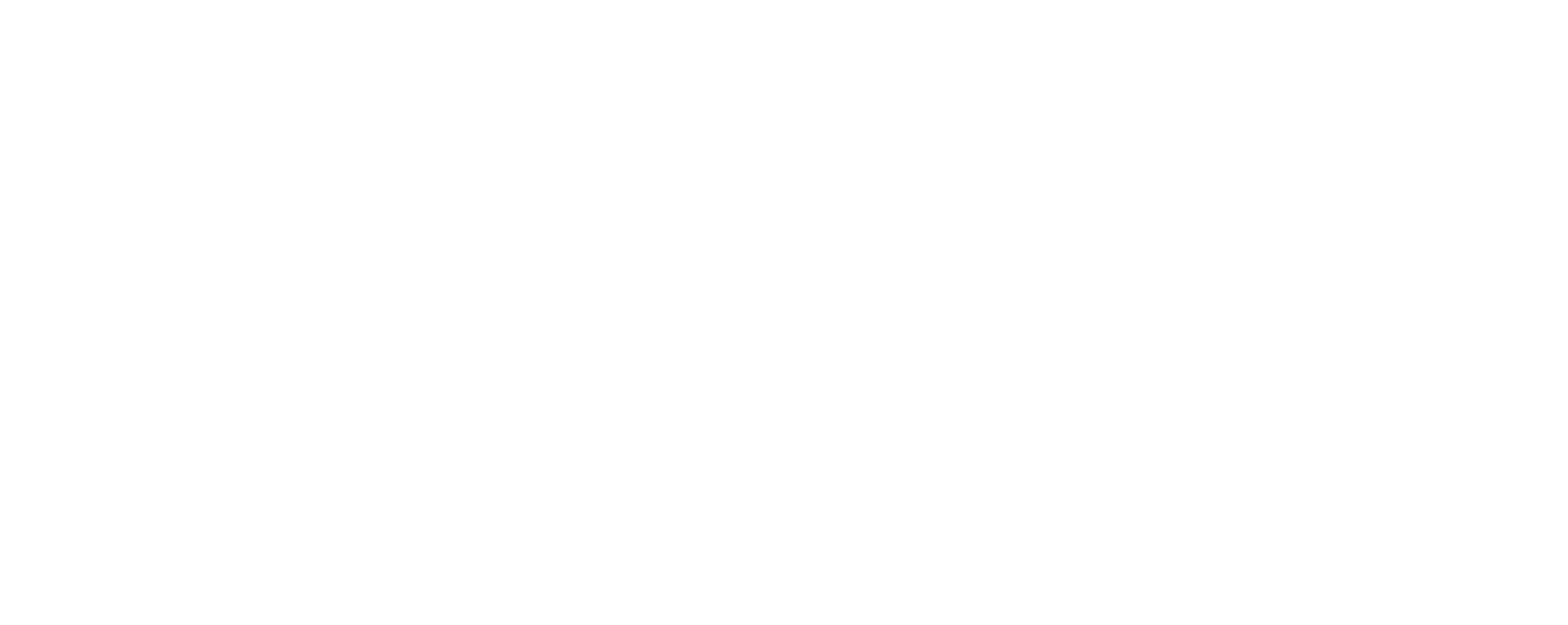 ICSN Logo