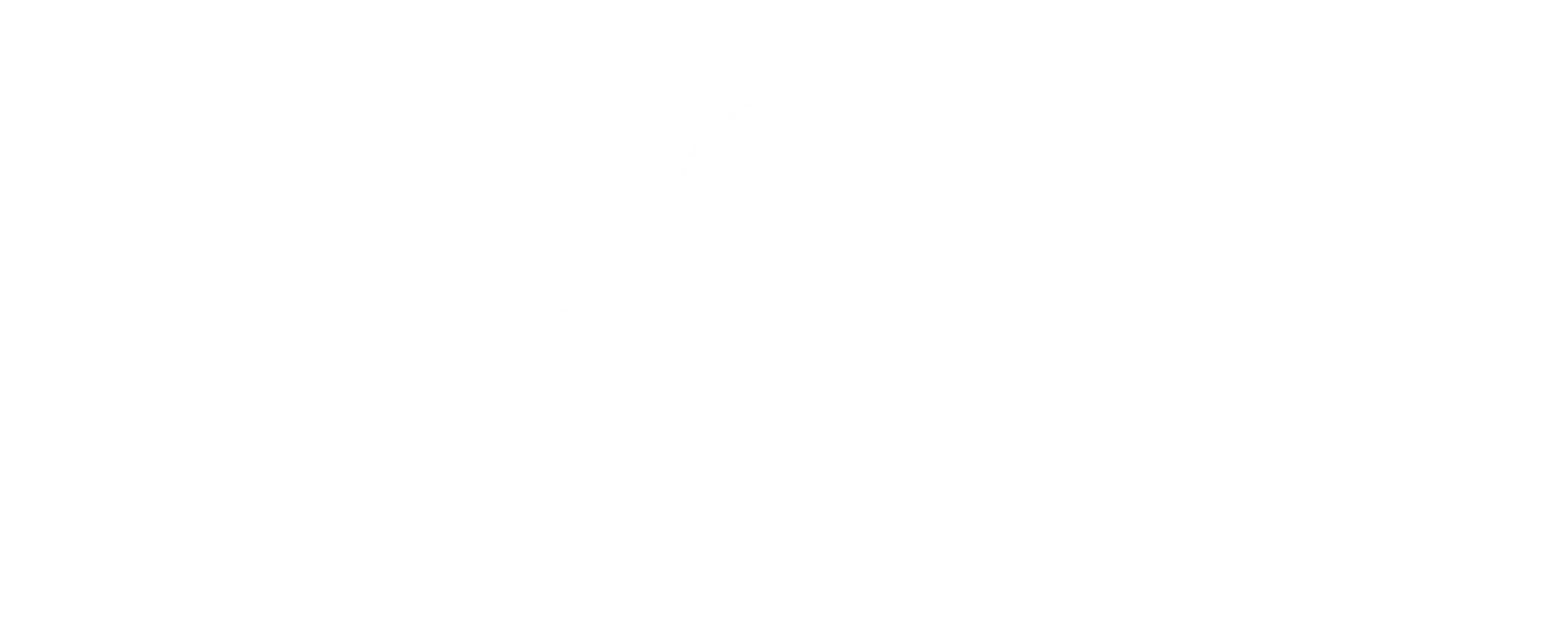 ICSN Logo